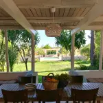 Estate nel patio, consigli